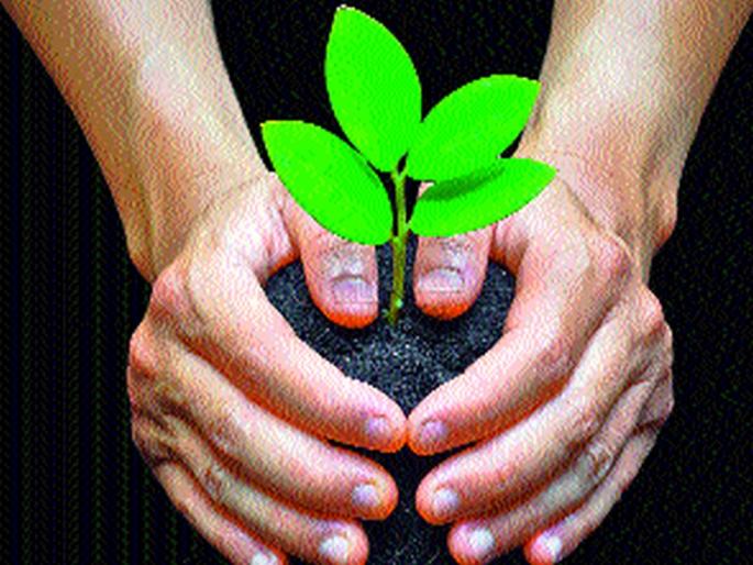 Nashik advance in tree plantation | वृक्षलागवडीत नाशिक अग्रेसर Nashik advance in tree plantation | वृक्षलागवडीत नाशिक अग्रेसर