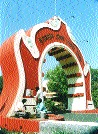 Degree allotment to students of disorder | नापास विद्यार्थ्यांना पदवी वाटपाने शिक्षण क्षेत्रात खळबळ Degree allotment to students of disorder | नापास विद्यार्थ्यांना पदवी वाटपाने शिक्षण क्षेत्रात खळबळ