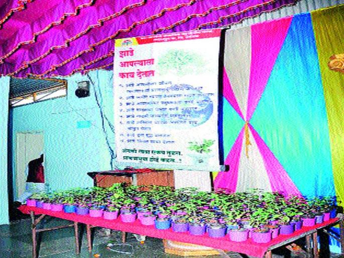 Message from social welfare and environment conservation through marriage board | विवाह मंडपातून समाजप्रबोधन व पर्यावरण संवर्धनाचा संदेश