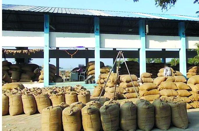 Cancel the cess or bring it in half | सेस रद्द करा किंवा अर्ध्यावर आणावा; नवीन सरकारकडून अपेक्षा Cancel the cess or bring it in half | सेस रद्द करा किंवा अर्ध्यावर आणावा; नवीन सरकारकडून अपेक्षा