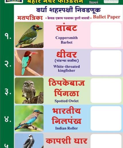 City bird elections in Wardha on Independence day | वर्ध्यात शहर पक्ष्याची निवडणूक; स्वातंत्र्यदिनी होणार महामतदान City bird elections in Wardha on Independence day | वर्ध्यात शहर पक्ष्याची निवडणूक; स्वातंत्र्यदिनी होणार महामतदान