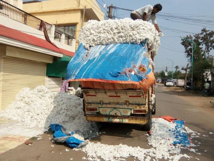 Telangana support for cotton growers in Gadchiroli district | गडचिरोली जिल्ह्यातील कापूस उत्पादकांना तेलंगणाचा आधार Telangana support for cotton growers in Gadchiroli district | गडचिरोली जिल्ह्यातील कापूस उत्पादकांना तेलंगणाचा आधार