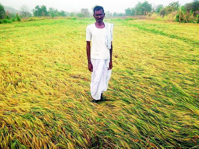 Rain storm hits Vidarbha on third day | विदर्भाला तिसऱ्या दिवशीही वादळी पावसाचा तडाखा