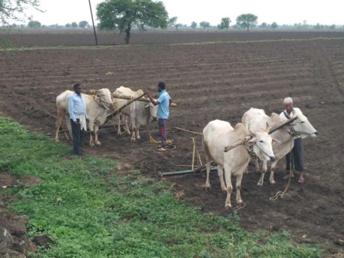 So far only three farmers have registered online! | आतापर्यंत फक्त तीन शेतकऱ्यांची ऑनलाईन नोंदणी! So far only three farmers have registered online! | आतापर्यंत फक्त तीन शेतकऱ्यांची ऑनलाईन नोंदणी!