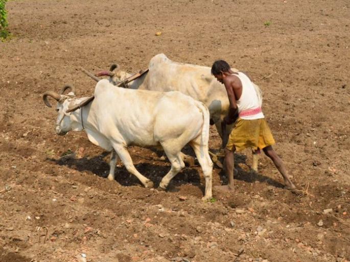 Jankrushi proposal is still pending | जनकृषी केंद्राचा प्रस्ताव रखडला