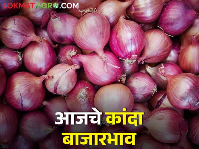 Latest News 14 Feb 2024 Todays Market Price on onion in maharashtra | लासलगाव, सोलापूर, नागपूर बाजारसमितीत कांद्याला काय भाव मिळाला, आजचे बाजारभाव  Latest News 14 Feb 2024 Todays Market Price on onion in maharashtra | लासलगाव, सोलापूर, नागपूर बाजारसमितीत कांद्याला काय भाव मिळाला, आजचे बाजारभाव