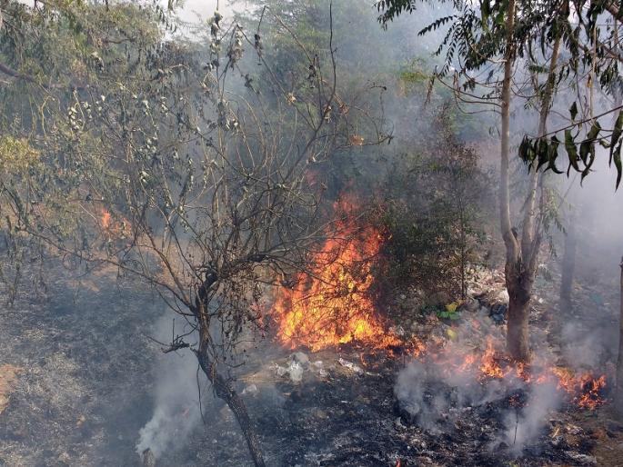 Cidcoot Many fox firefighters | सिडकोत अनेक झाडे आगीच्या भक्ष्यस्थानी Cidcoot Many fox firefighters | सिडकोत अनेक झाडे आगीच्या भक्ष्यस्थानी