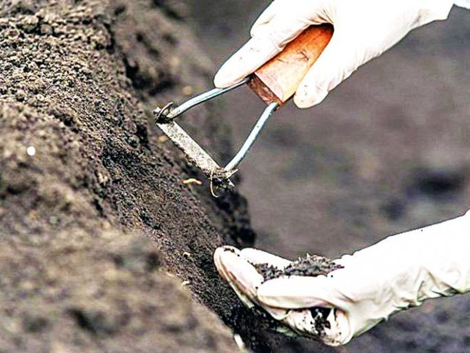 Land health of Nagpur district has worsened | नागपूर जिल्ह्यातील जमिनीचे आरोग्य बिघडले Land health of Nagpur district has worsened | नागपूर जिल्ह्यातील जमिनीचे आरोग्य बिघडले