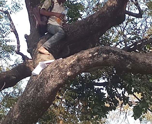 No job since 20 years, young chap create drama in Bhandara | दोन दशकांपासून शासकीय सेवेत सामावून न घेतल्याने भंडाऱ्यात प्रकल्पग्रस्त तरुणाची ‘विरूगिरी’ No job since 20 years, young chap create drama in Bhandara | दोन दशकांपासून शासकीय सेवेत सामावून न घेतल्याने भंडाऱ्यात प्रकल्पग्रस्त तरुणाची ‘विरूगिरी’