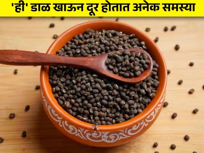 According to Ayurveda doctor urad dal gives high protein like chicken for vegetarian know how to eat | डॉक्टरांचा दावा चिकनपेक्षाही 'या' डाळीत असते शक्ती, पण काही लोकांना होते समस्या According to Ayurveda doctor urad dal gives high protein like chicken for vegetarian know how to eat | डॉक्टरांचा दावा चिकनपेक्षाही 'या' डाळीत असते शक्ती, पण काही लोकांना होते समस्या