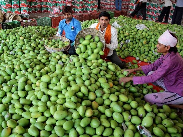 Due to restrictions in Nagpur, fruits will be destroyed in Kalamana | नागपुरात निर्बंधांमुळे कळमन्यात होणार फळांची नासाडी Due to restrictions in Nagpur, fruits will be destroyed in Kalamana | नागपुरात निर्बंधांमुळे कळमन्यात होणार फळांची नासाडी