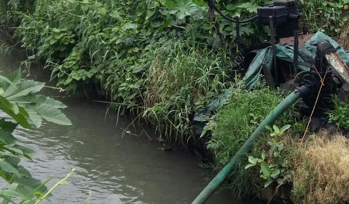 Use of sewage for the cultivation of vegetables; Mayor orders Thane to take immediate action | भाज्यांच्या लागवडीसाठी सांडपाण्याचा वापर; तातडीने कारवाई करण्याचे आदेश Use of sewage for the cultivation of vegetables; Mayor orders Thane to take immediate action | भाज्यांच्या लागवडीसाठी सांडपाण्याचा वापर; तातडीने कारवाई करण्याचे आदेश