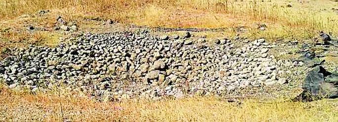 Wildlife turned civilian population | वन्यजीव वळले नागरी वस्तीकडे Wildlife turned civilian population | वन्यजीव वळले नागरी वस्तीकडे