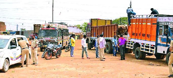 From the red clutches 52 cattle were caught | लालखडीतून ५२ जनावरे पकडले From the red clutches 52 cattle were caught | लालखडीतून ५२ जनावरे पकडले