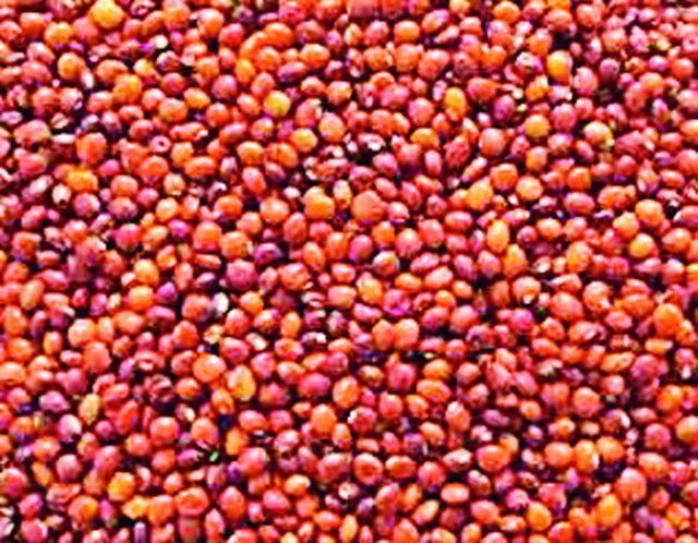 What is the expiry of the deadline, 37 thousand tokens? | आज संपणार मुदत, ३७ हजार टोकनचे काय?