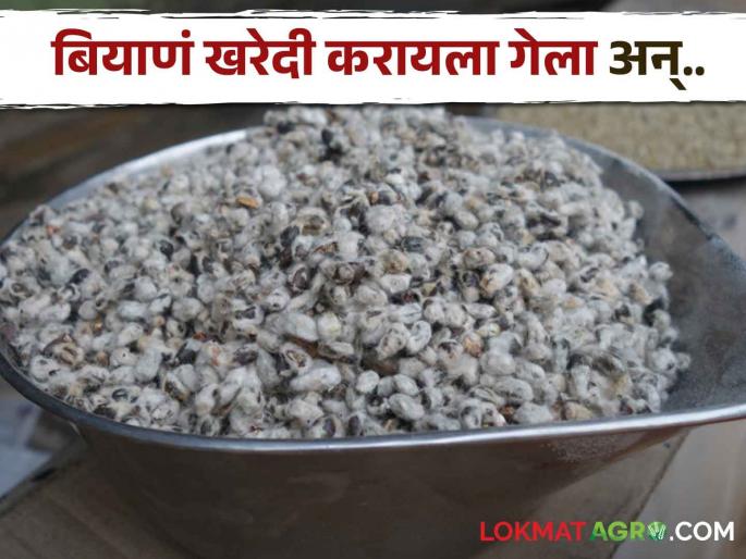The young man's life went for the seeds! A young man died on the spot in a car accident while bringing seeds from Akot to Yavatmal | बियाण्यांसाठी गेला तरुणाचा जीव! अकोटहून यवतमाळला बियाणे आणताना कारधडकेत जागीच ठार The young man's life went for the seeds! A young man died on the spot in a car accident while bringing seeds from Akot to Yavatmal | बियाण्यांसाठी गेला तरुणाचा जीव! अकोटहून यवतमाळला बियाणे आणताना कारधडकेत जागीच ठार