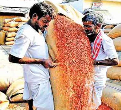 Waiting for sale of 12 thousand farmers in Beed | बीडमध्ये १२ हजार शेतकऱ्यांना तूर विक्रीची प्रतीक्षा