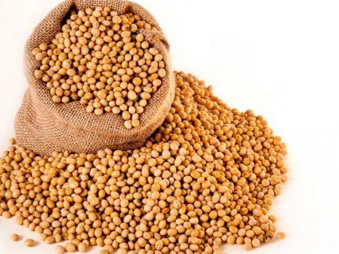 Increase in demand in Beed district increased soybean prices | बीड जिल्ह्यात मागणी वाढल्याने सोयाबीनमध्ये तेजी Increase in demand in Beed district increased soybean prices | बीड जिल्ह्यात मागणी वाढल्याने सोयाबीनमध्ये तेजी