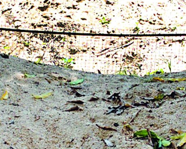 Sandstones on the river | नदीतीरावर रेतीचे साठे Sandstones on the river | नदीतीरावर रेतीचे साठे