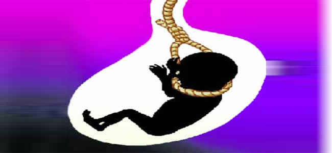 Missing two embryo bailiffs rejected | म्हैसाळ भ्रूण हत्याकांडातील दोघांचा जामीन फेटाळला Missing two embryo bailiffs rejected | म्हैसाळ भ्रूण हत्याकांडातील दोघांचा जामीन फेटाळला