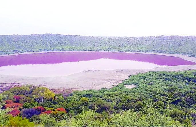 Blockade of Wildlife Department in Lonar Sarovar area |  लोणार सरोवर परिसरात वन्यजीव विभागाची नाकाबंदी Blockade of Wildlife Department in Lonar Sarovar area |  लोणार सरोवर परिसरात वन्यजीव विभागाची नाकाबंदी