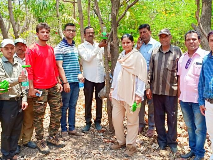 Nature volunteers initiative for sparrows conservation | चिमणी संवर्धनासाठी निसर्ग सेवकांचा पुढाकार Nature volunteers initiative for sparrows conservation | चिमणी संवर्धनासाठी निसर्ग सेवकांचा पुढाकार