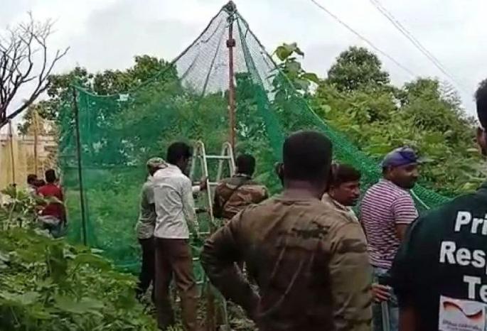 Tiger in a rice mill in Chandrapur district; Attack on the driver | चंद्रपूर जिल्ह्यातील राईसमिलमध्ये शिरला वाघ; चालकावर हल्ला