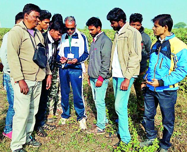 Protect the habitat of birds | पक्ष्यांचा अधिवास सुरक्षित ठेवा Protect the habitat of birds | पक्ष्यांचा अधिवास सुरक्षित ठेवा