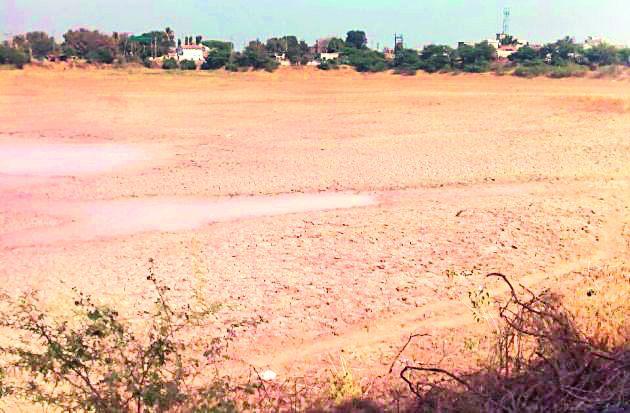 Perennial water will remain in the basin lake | बामणीच्या तलावात राहणार बारमाही पाणी Perennial water will remain in the basin lake | बामणीच्या तलावात राहणार बारमाही पाणी