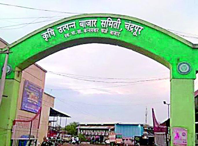 Administrators of 'Agricultural Produce Market Committees' will be removed! | ‘त्या’ कृषी उत्पन्न बाजार समित्यांचे प्रशासक हटणार! Administrators of 'Agricultural Produce Market Committees' will be removed! | ‘त्या’ कृषी उत्पन्न बाजार समित्यांचे प्रशासक हटणार!