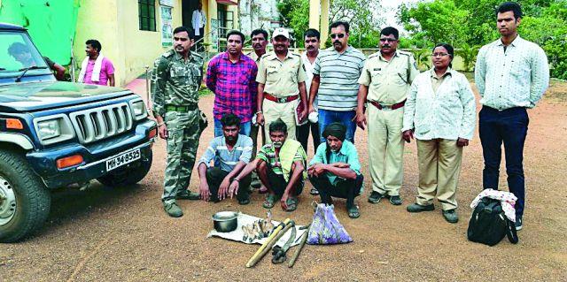 Three people arrested for Chital hunting | चितळ शिकारप्रकरणी तीन जणांना अटक