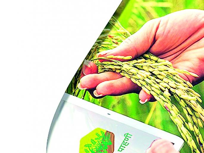 Farmers will now register crops instead of talathas | तलाठ्याऐवजी शेतकरीच करणार आता पीक नोंदणी Farmers will now register crops instead of talathas | तलाठ्याऐवजी शेतकरीच करणार आता पीक नोंदणी