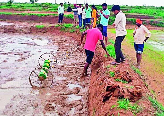 Sowing of paddy on mud by direct pedicider | डायरेक्ट पॅडीसिडरद्वारे चिखलावर धान पेरणी Sowing of paddy on mud by direct pedicider | डायरेक्ट पॅडीसिडरद्वारे चिखलावर धान पेरणी