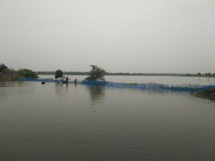 Murdapur dam starts flowing ... | मुर्दापूर धरण ओसंडून वाहू लागले... Murdapur dam starts flowing ... | मुर्दापूर धरण ओसंडून वाहू लागले...