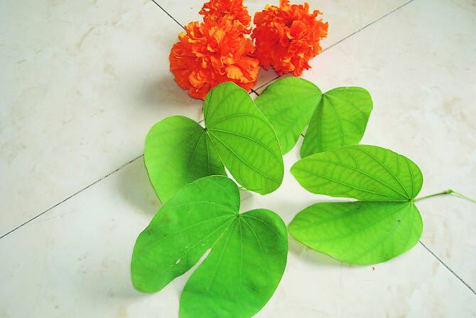 Celebrate Dussehra on the ninth day this year! | यंदा नवव्या दिवशी साजरा करा दसरा! Celebrate Dussehra on the ninth day this year! | यंदा नवव्या दिवशी साजरा करा दसरा!