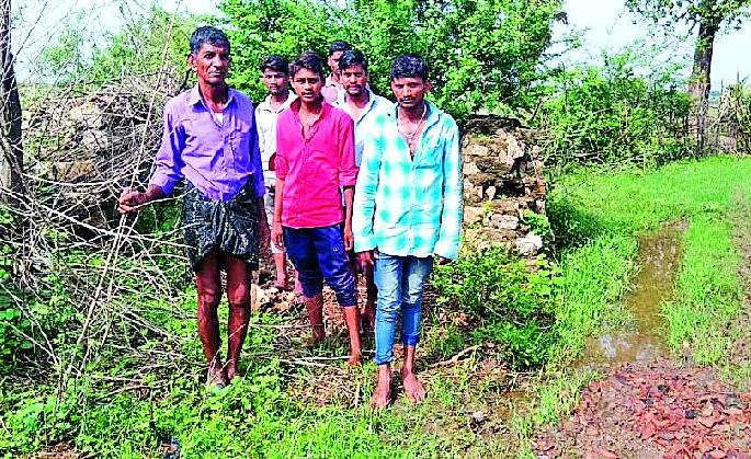 Harla village road in bush | झुडुपांमध्ये हरवला गावाचा रस्ता