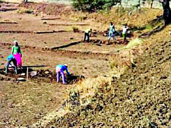 There is no evidence of village panchayat workers | ग्रामपंचायतीत मजुरांचे पुरावेच नाही There is no evidence of village panchayat workers | ग्रामपंचायतीत मजुरांचे पुरावेच नाही