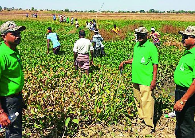 Found in a pond at Chamorshi, but in the lake | चामोर्शीतील तलावात आढळला मगर Found in a pond at Chamorshi, but in the lake | चामोर्शीतील तलावात आढळला मगर