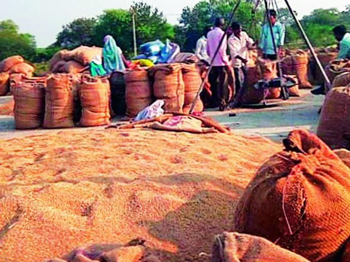 This year 113 centers are ready for paddy procurement in the district | यावर्षी धान खरेदीसाठी जिल्हाभरात 113 केंद्रे सज्ज This year 113 centers are ready for paddy procurement in the district | यावर्षी धान खरेदीसाठी जिल्हाभरात 113 केंद्रे सज्ज