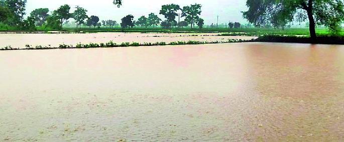 Hundreds of hectares of farmland underwater | शेकडो हेक्टर शेतजमीन पाण्याखाली Hundreds of hectares of farmland underwater | शेकडो हेक्टर शेतजमीन पाण्याखाली