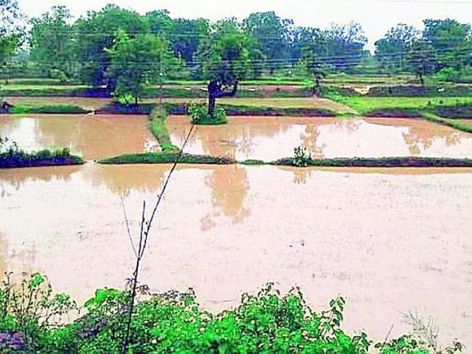 75 crore relief to flood affected farmers | पूरग्रस्त शेतकऱ्यांना 75 काेटींचा दिलासा 75 crore relief to flood affected farmers | पूरग्रस्त शेतकऱ्यांना 75 काेटींचा दिलासा