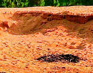 Still auctioned for the sittings | अजूनही रेतीघाटांचा लिलाव अधांतरीच