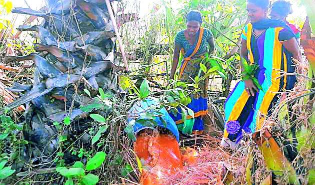 Women destroyed | महिलांनी केला सडवा नष्ट Women destroyed | महिलांनी केला सडवा नष्ट