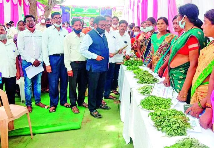 Economic development possible through legumes | रानभाजीद्वारे आर्थिक विकास शक्य Economic development possible through legumes | रानभाजीद्वारे आर्थिक विकास शक्य