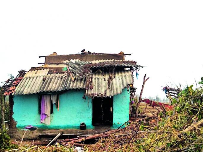 Nature Kopala | निसर्ग कोपला Nature Kopala | निसर्ग कोपला