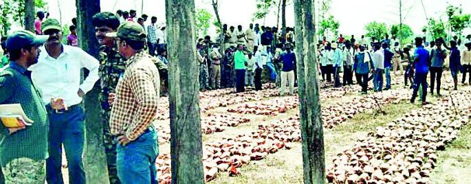 Villagers and forest department face to face | गावकरी व वन विभाग समोरासमोर Villagers and forest department face to face | गावकरी व वन विभाग समोरासमोर