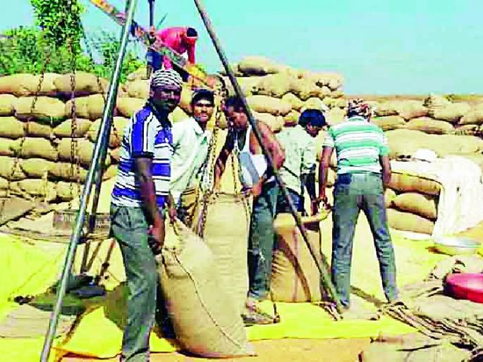 In 1998, the farmers were forced to do so | १९९ शेतकऱ्यांचे चुकारे अडून In 1998, the farmers were forced to do so | १९९ शेतकऱ्यांचे चुकारे अडून