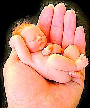 9 years to 997 families waiting for National Savings Certificates | ९ वर्षापासून ९९७ कुटुंब राष्ट्रीय बचत पत्राच्या प्रतीक्षेत 9 years to 997 families waiting for National Savings Certificates | ९ वर्षापासून ९९७ कुटुंब राष्ट्रीय बचत पत्राच्या प्रतीक्षेत