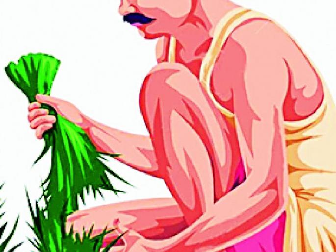 Confusion in the purchase of paddy on the basis of Satbara | सातबाराच्या आधारे धान खरेदीत घोळ Confusion in the purchase of paddy on the basis of Satbara | सातबाराच्या आधारे धान खरेदीत घोळ