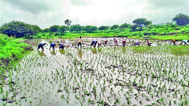 Commencement of agriculture in the eastern part of Igatpuri taluka | इगतपुरी तालुक्याच्या पूर्वभागात शेतीकामांना प्रारंभ Commencement of agriculture in the eastern part of Igatpuri taluka | इगतपुरी तालुक्याच्या पूर्वभागात शेतीकामांना प्रारंभ